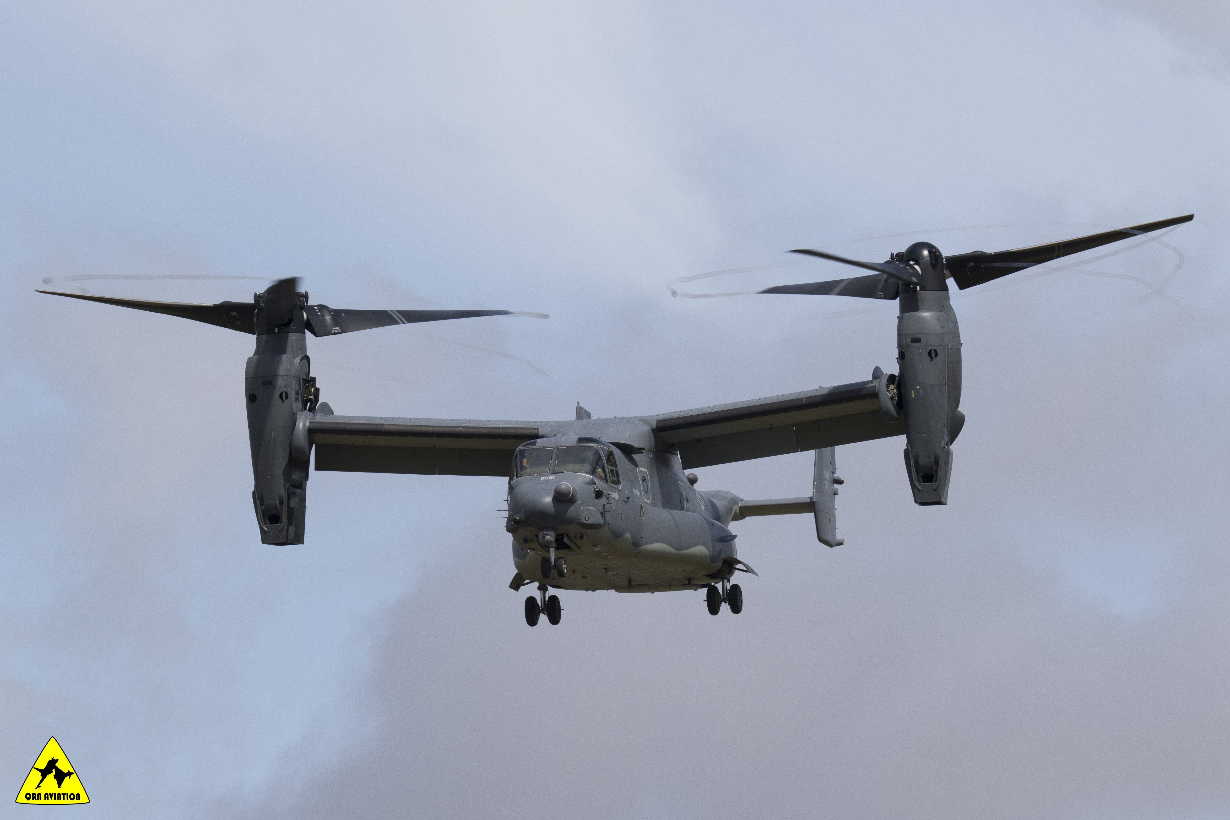Osprey2